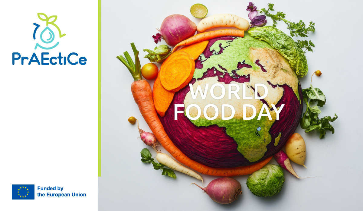 🌍 World Food Day 2025

We believe that the path to food security lies in agroecological innovation, empowering farmers with knowledge and circular systems that restore balance between people, nature, and food production.

Together, let’s grow a future where no one is left behind