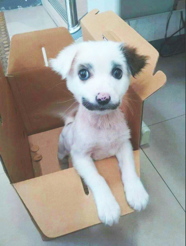 Any suggestions for a name?"🤡