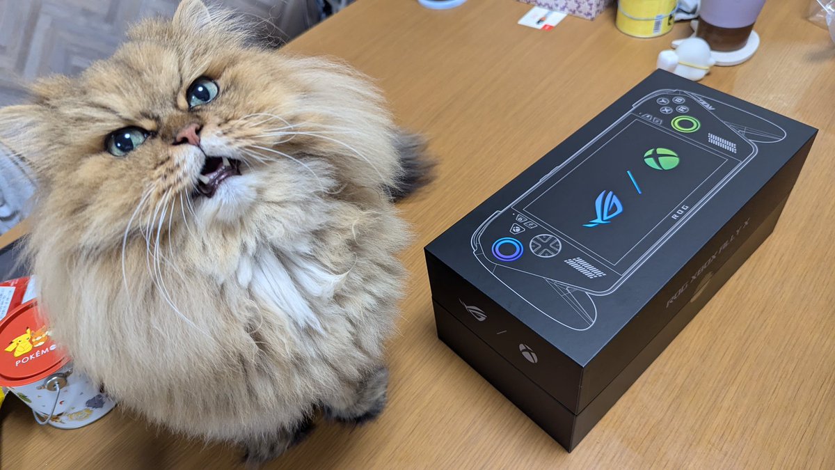 divideby_zero's tweet image. ROG XBOX ALLY 届きました〜〜〜
次回 #東京ゲームダンジョン10 ではこれで展示予定なので、ゲーム自体に興味無いけどXBOX ALLYは触ってみたいぜ〜って人もぜひ来てね〜(姑息