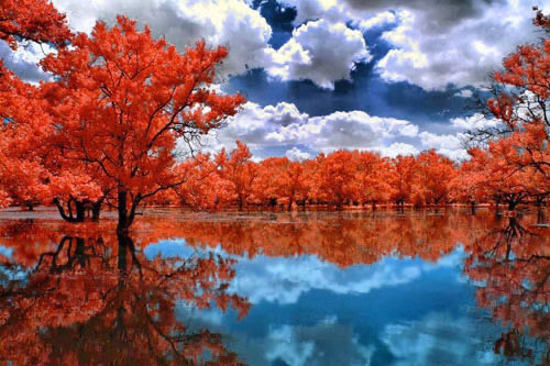 The Earth Has
Music For Those
   Who Listen.