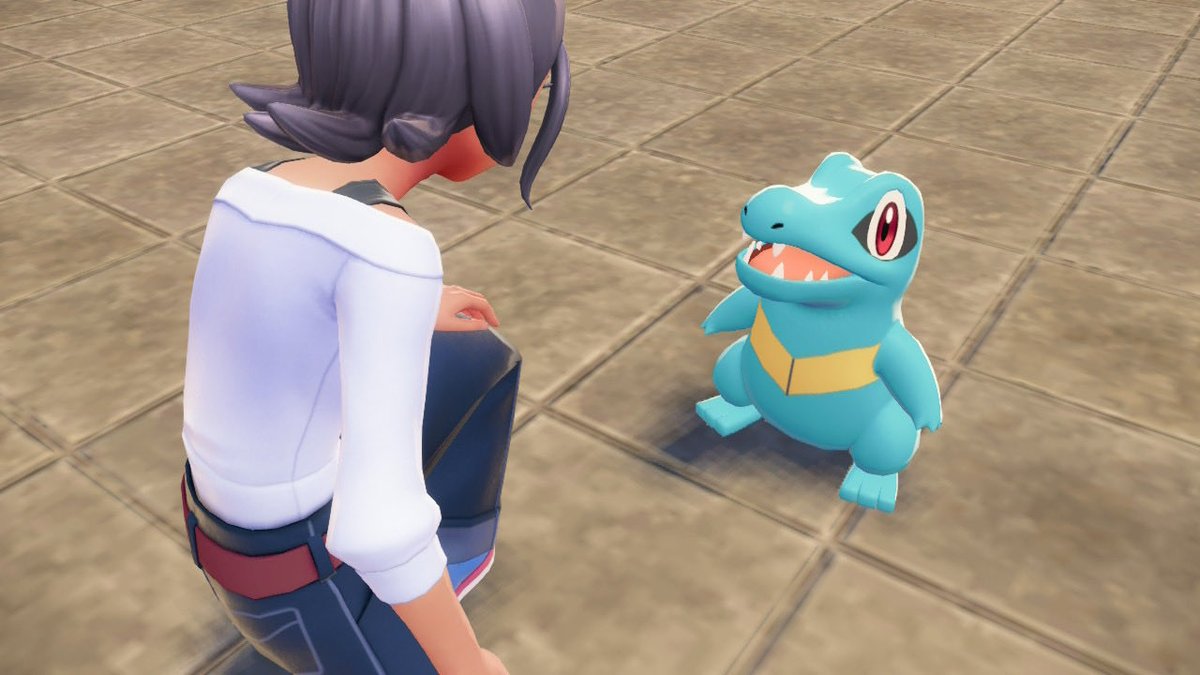 やりたいゲーム多いのに
ポケモン生活始めました〜🎵