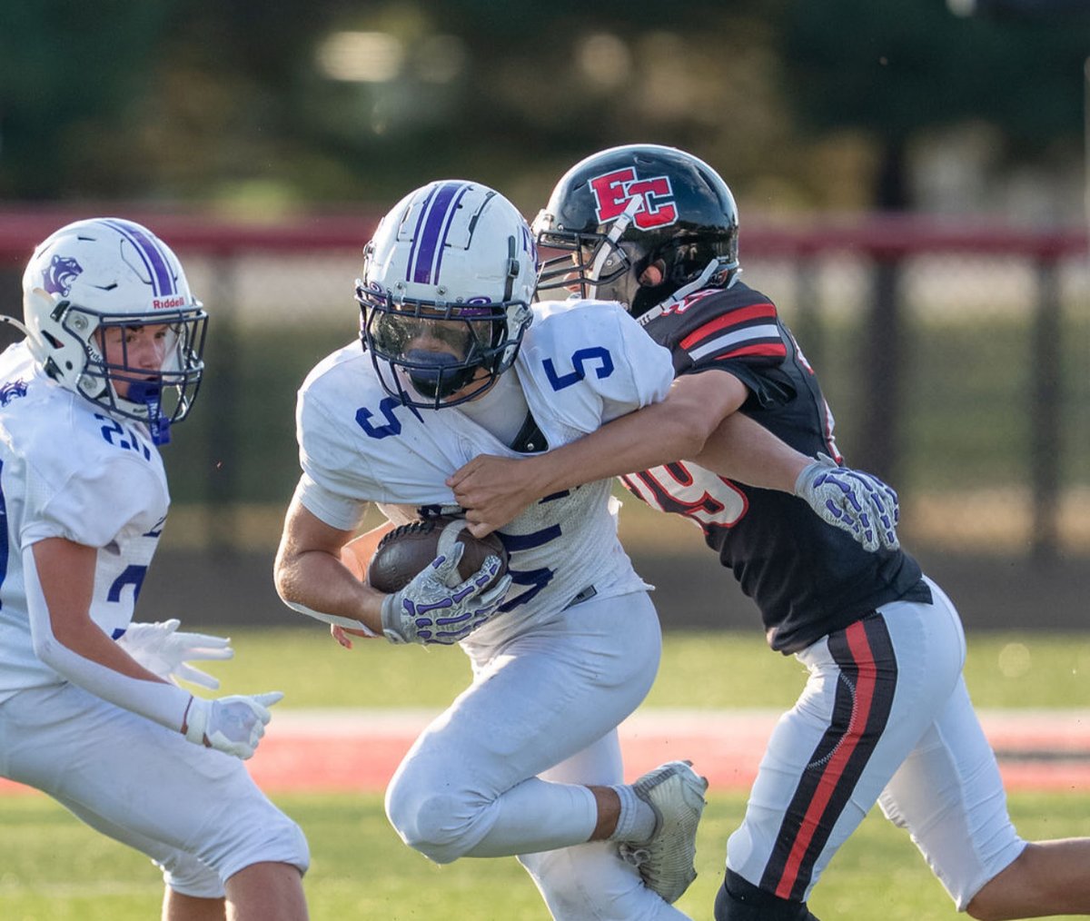 Jackie Cornelius tweet media