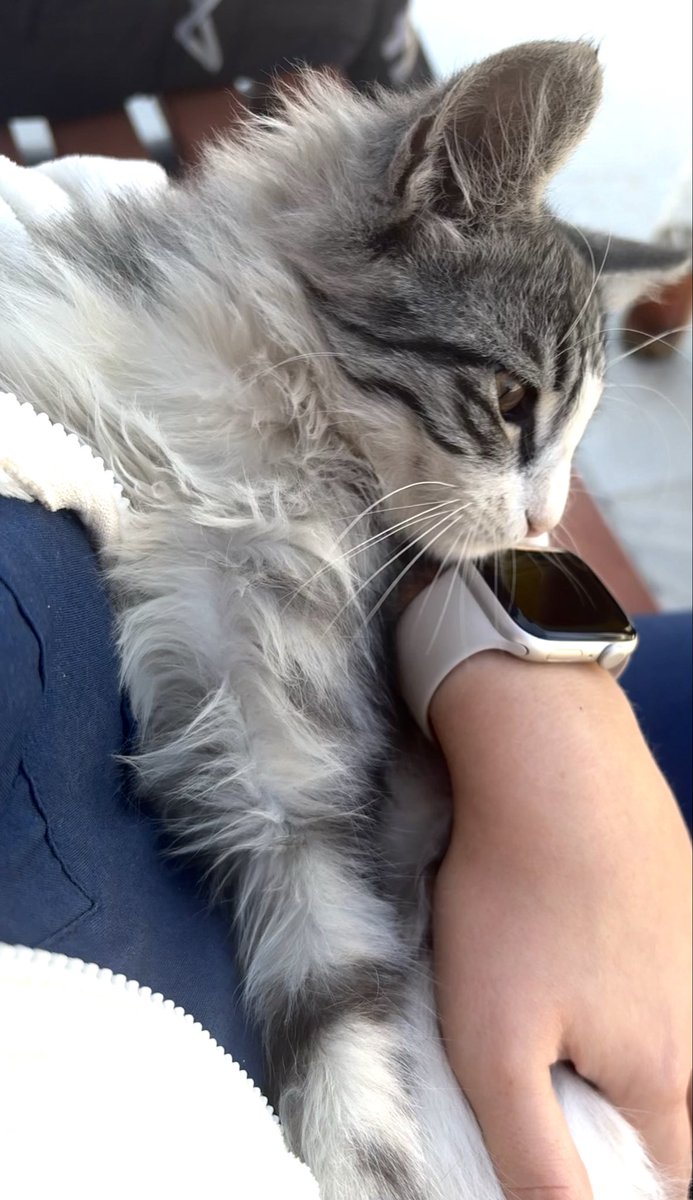 Kucağıma park etti kendini 🫰🏻🤍