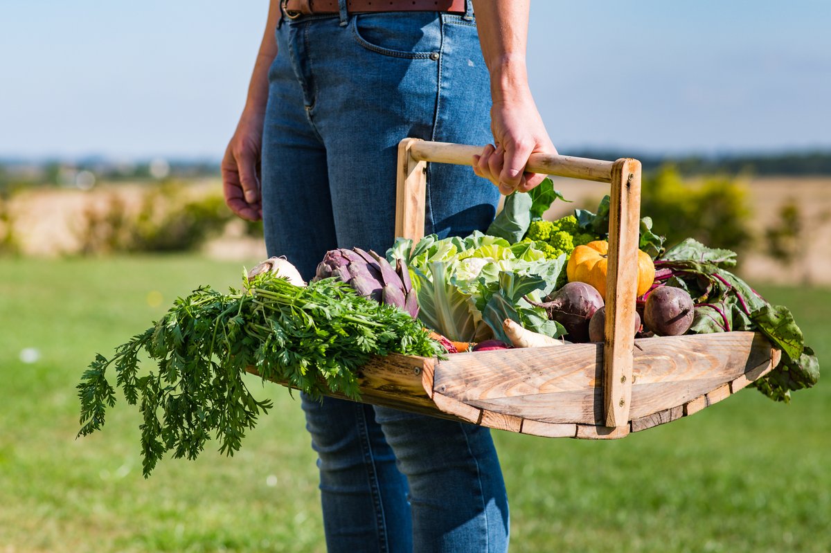 🌍 Happy World Food Day! 🌍

We’re passionate about the food we serve, making sure every dish is freshly prepared with care —from the freshest ingredients to carefully crafted dishes, we’re proud to serve meals that helps children grow, learn, and have fun!