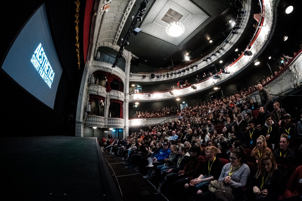 City Screen York tweet media