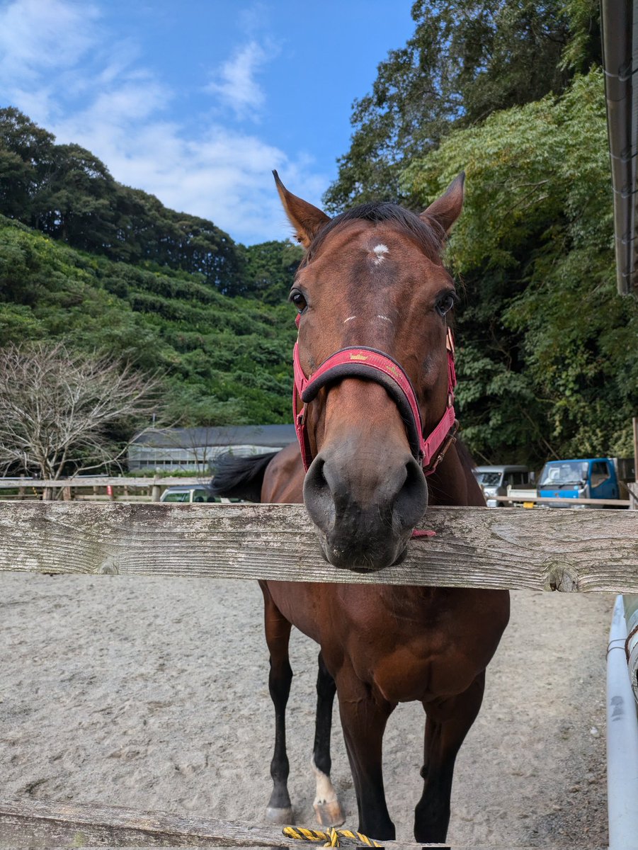 土佐黒潮牧場 on X