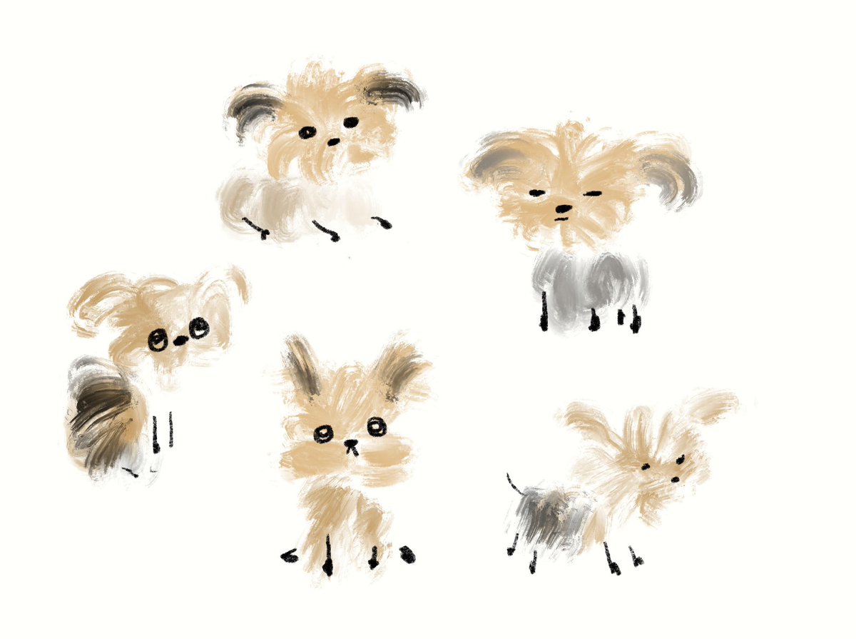 リポ・トウ (@riposhima) on Twitter photo 