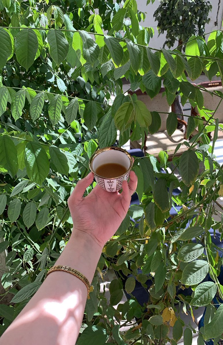 ظـهريـاتــ أرض ديــااااااااار 🌴