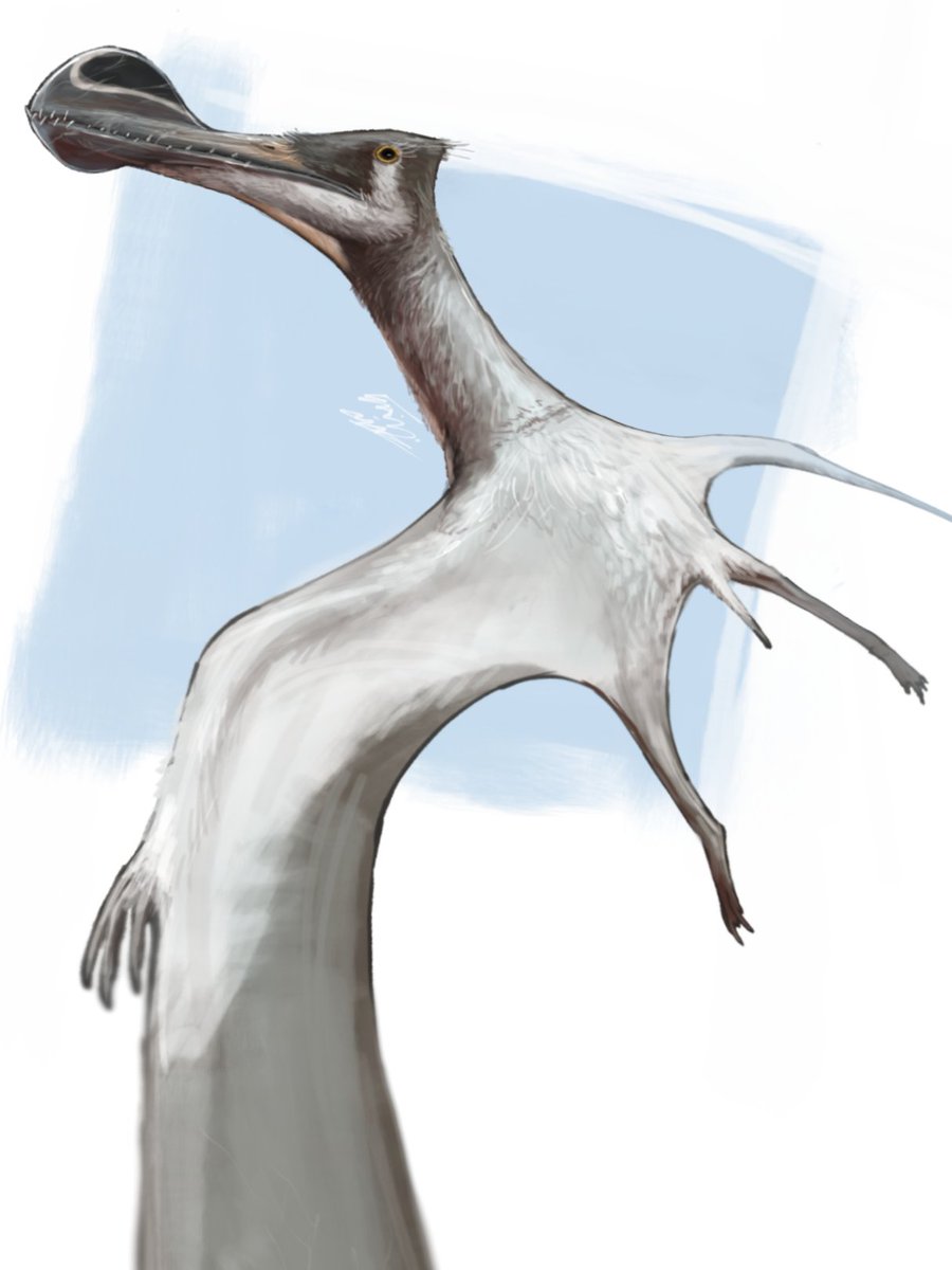 salmonartist1's tweet image. It costs $0.00 to support a dude just lost 7.6k followers acc