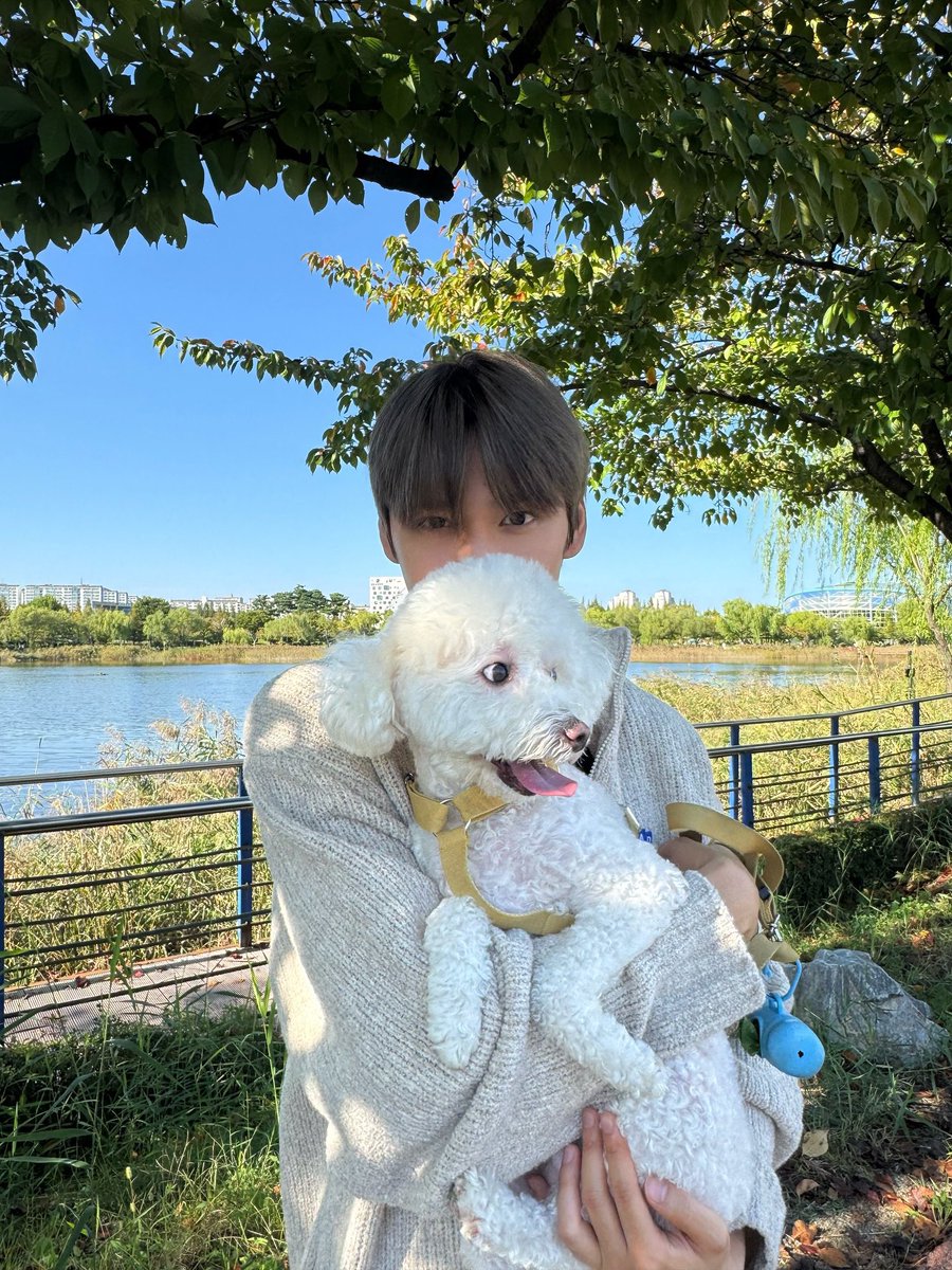 돌멩이 tweet media