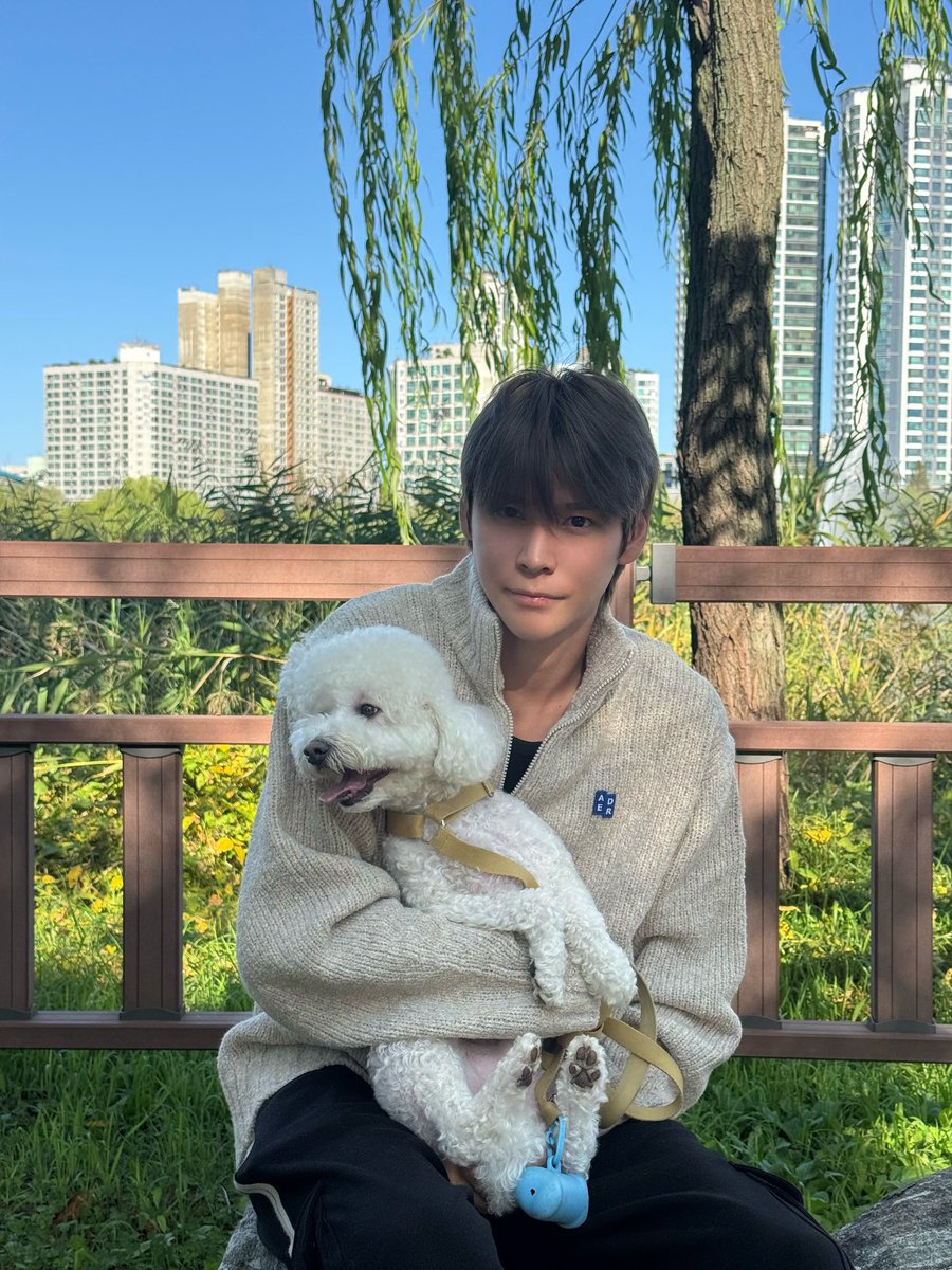 돌멩이 tweet media