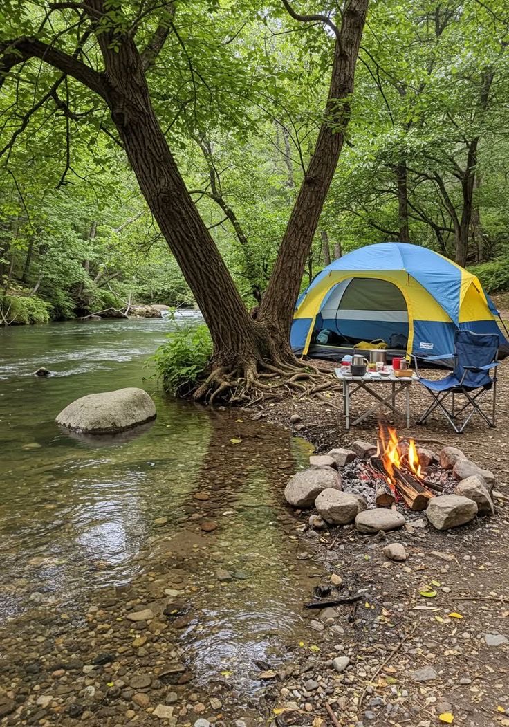 tek başıma günlerce şöyle bir yerde kalıp kafayı toplamaya ihtiyacım var