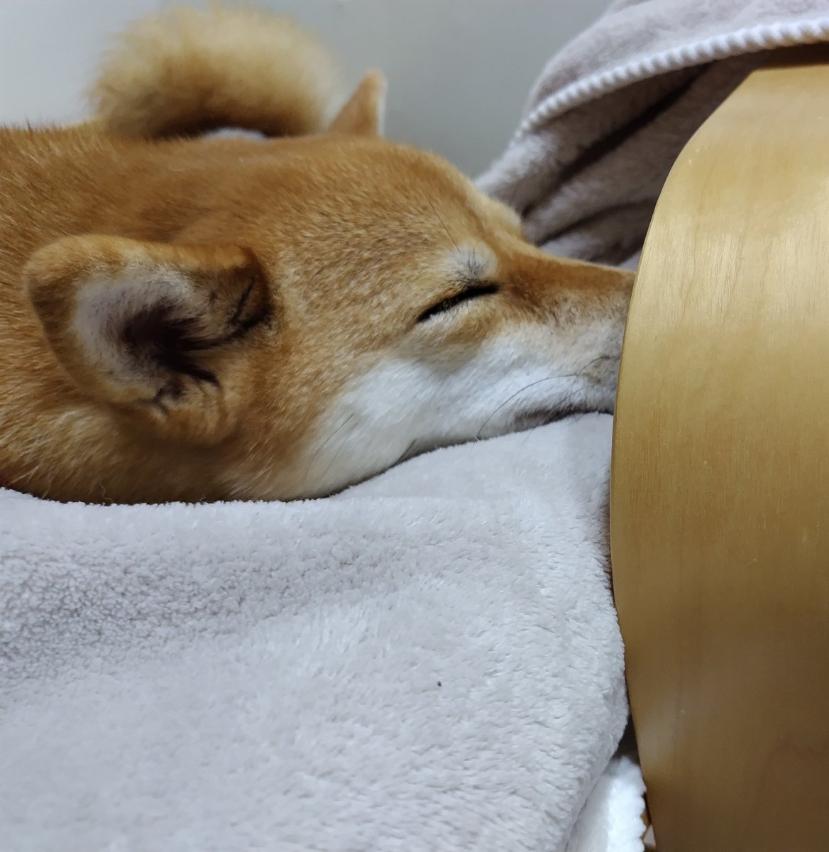 今日は1日雨で…退屈だったな〜