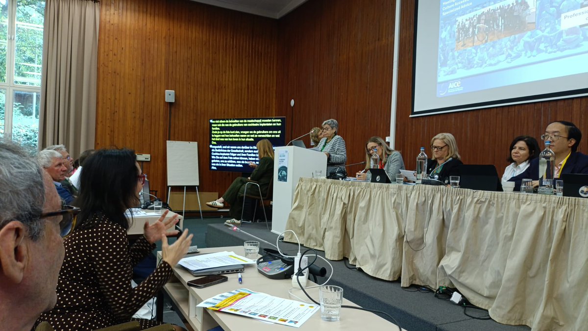 Federación AICE tweet media