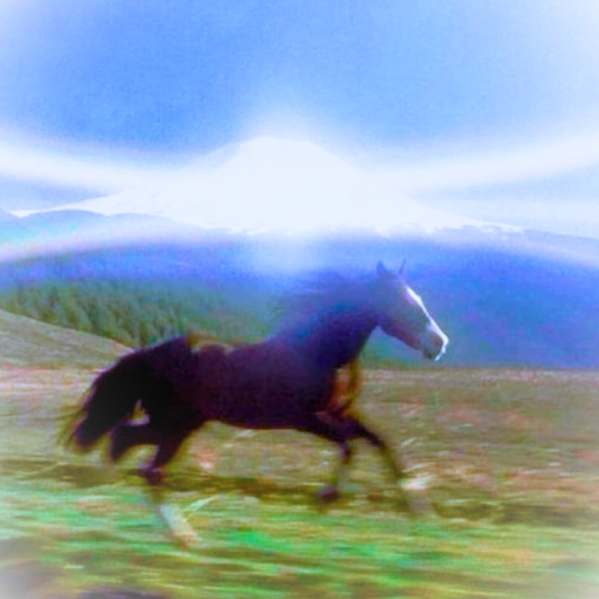 BasedBiohacker's tweet image. 5 hours of sleep, no breakfast, triple espresso and a modafinil