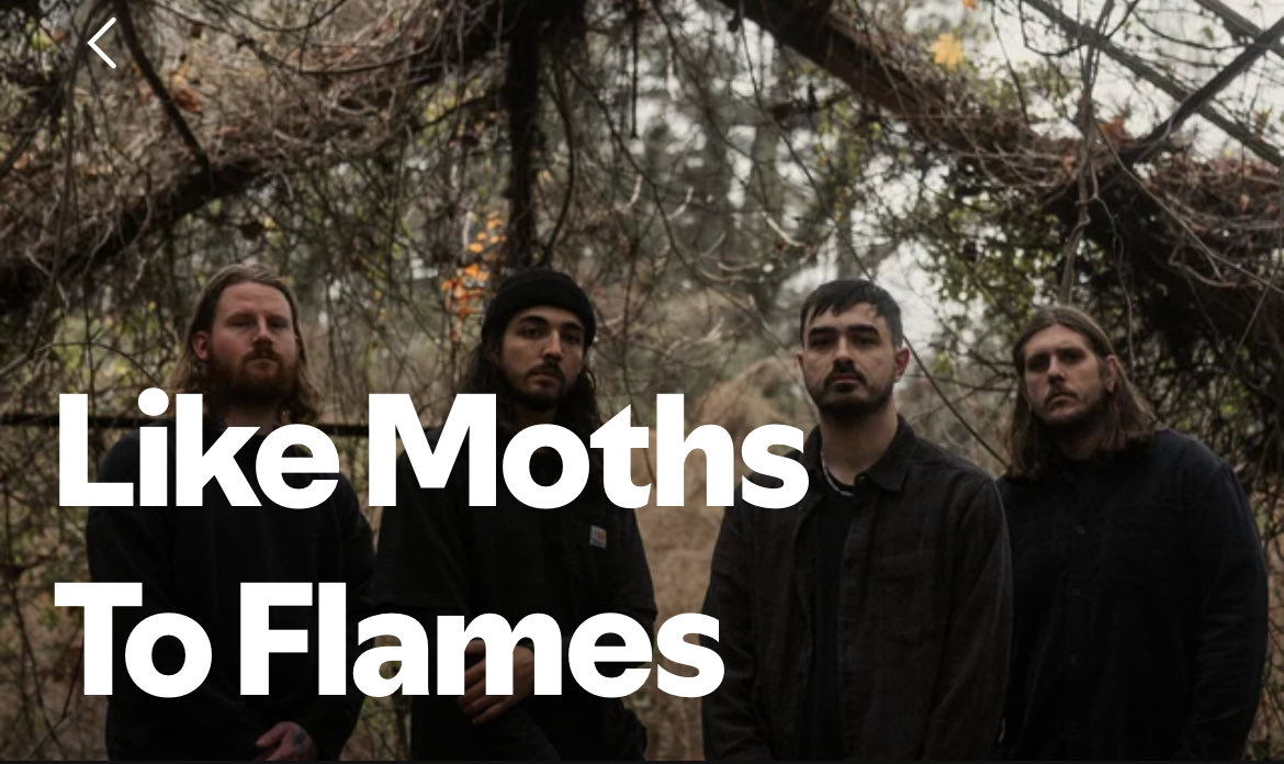 SilentN0ir's tweet image. They genuinely deserve more attention