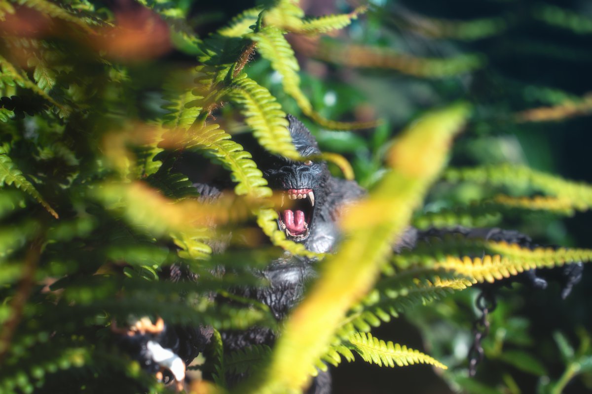 KONG
#JaiPasFiniDeJOUET 
#kingkong #mezco #movie #photoygraphy #toyphotography #photooftheday #photograghy #gorille