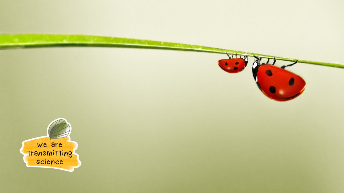 TransmitScience's tweet image. 💡 How might it feel to be the first to hear about new courses and special opportunities?
We use our newsletter to share early information with our community.

transmittingscience.com/subscribe-to-o…
#WeareTransmittingScience #ResearchOpportunities