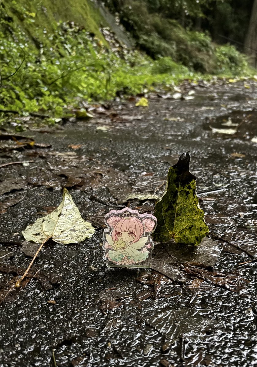公主x 鬼怒川x雨