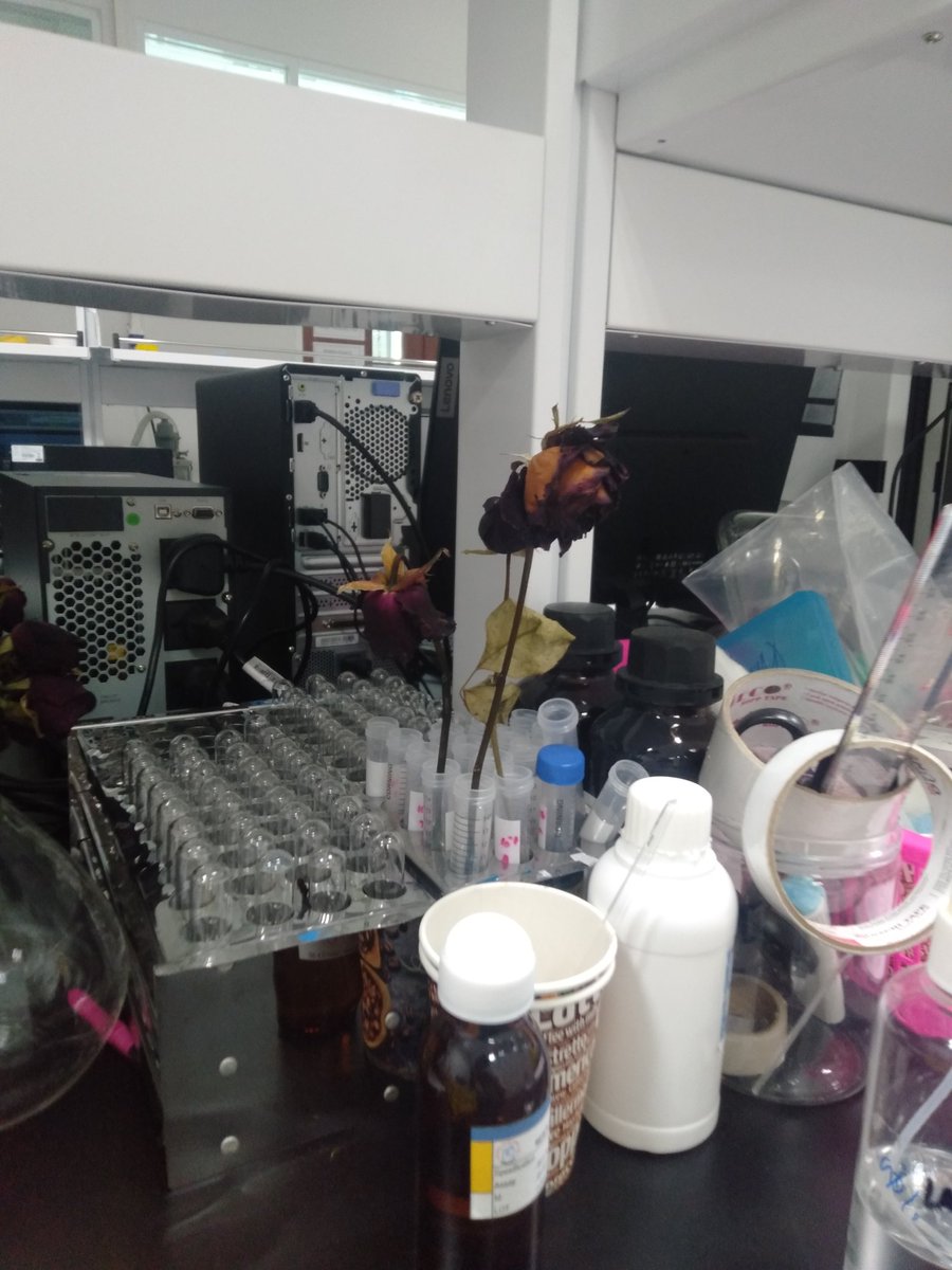 pluviasa's tweet image. romanticizing my life as biotech students
