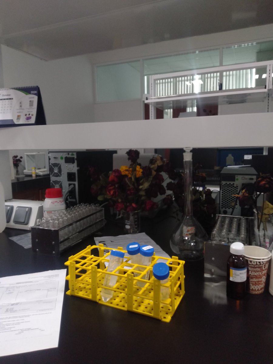 pluviasa's tweet image. romanticizing my life as biotech students