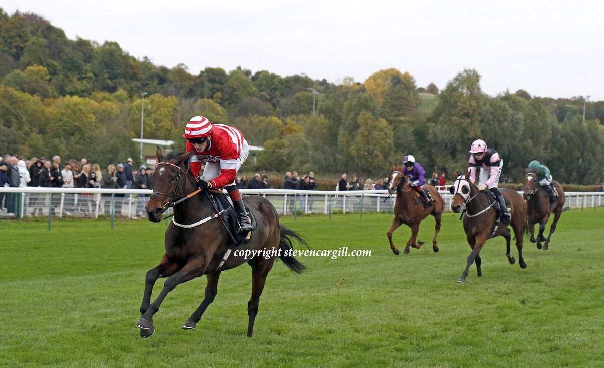 Steven_Cargill's tweet image. 4th win for 5yo m LOUGHVILLE (Mastercraftsman) @DavidEgan99 in 10f handicap @NottsRacecourse yesterday for trainer Alan King