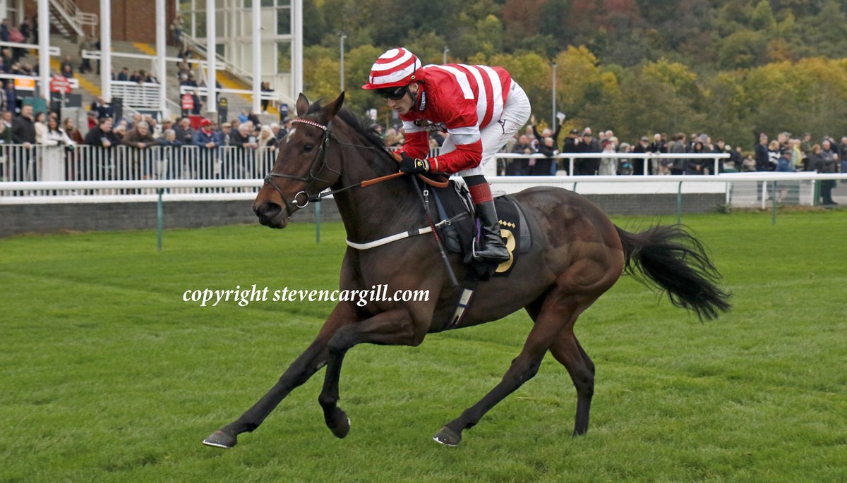 Steven_Cargill's tweet image. 4th win for 5yo m LOUGHVILLE (Mastercraftsman) @DavidEgan99 in 10f handicap @NottsRacecourse yesterday for trainer Alan King