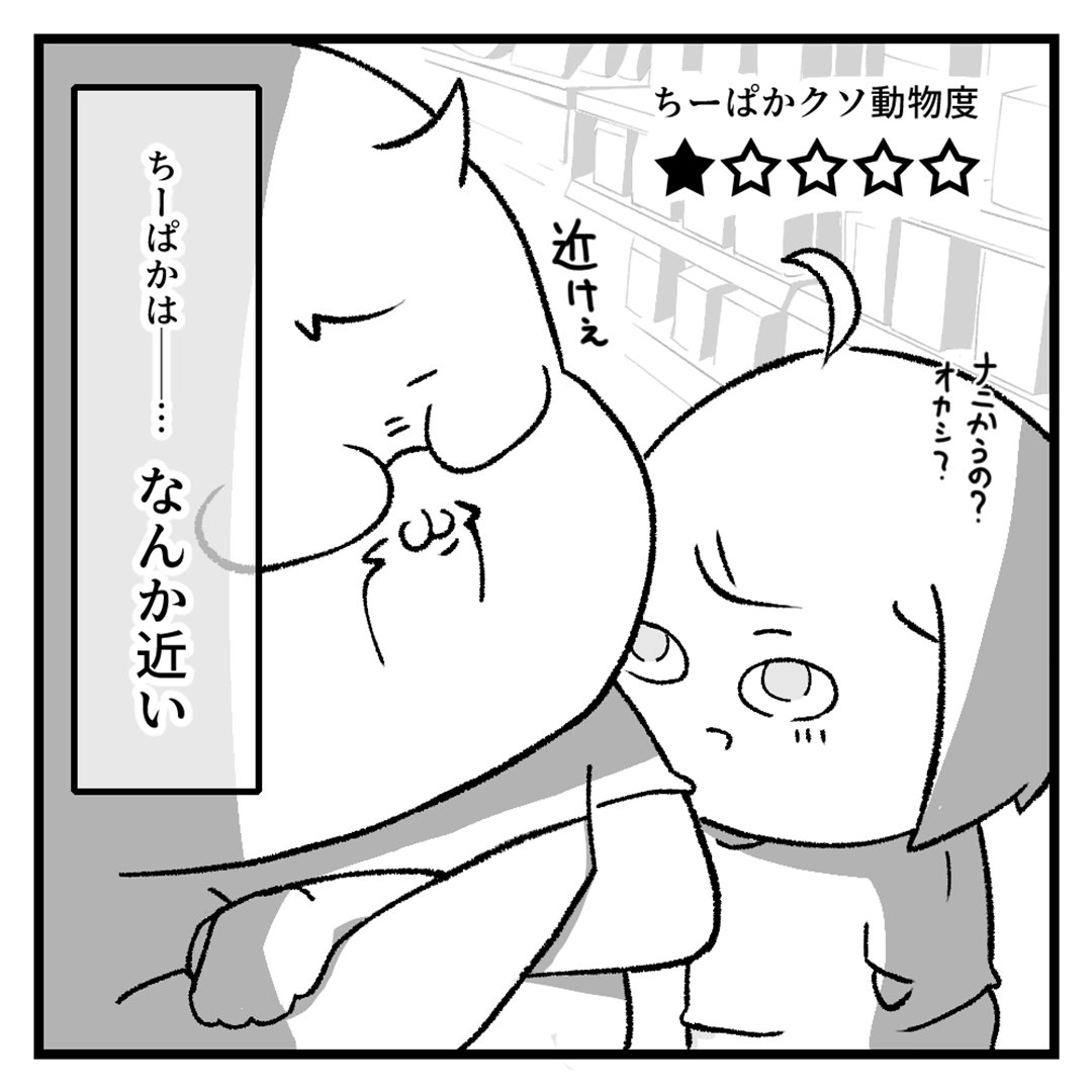 hi_kapichandesu's tweet photo. ちーぱかは――…
外に出ると、なぜか急に距離がめっちゃ近くなる🤔 https://t.co/5ELCXp89Ft