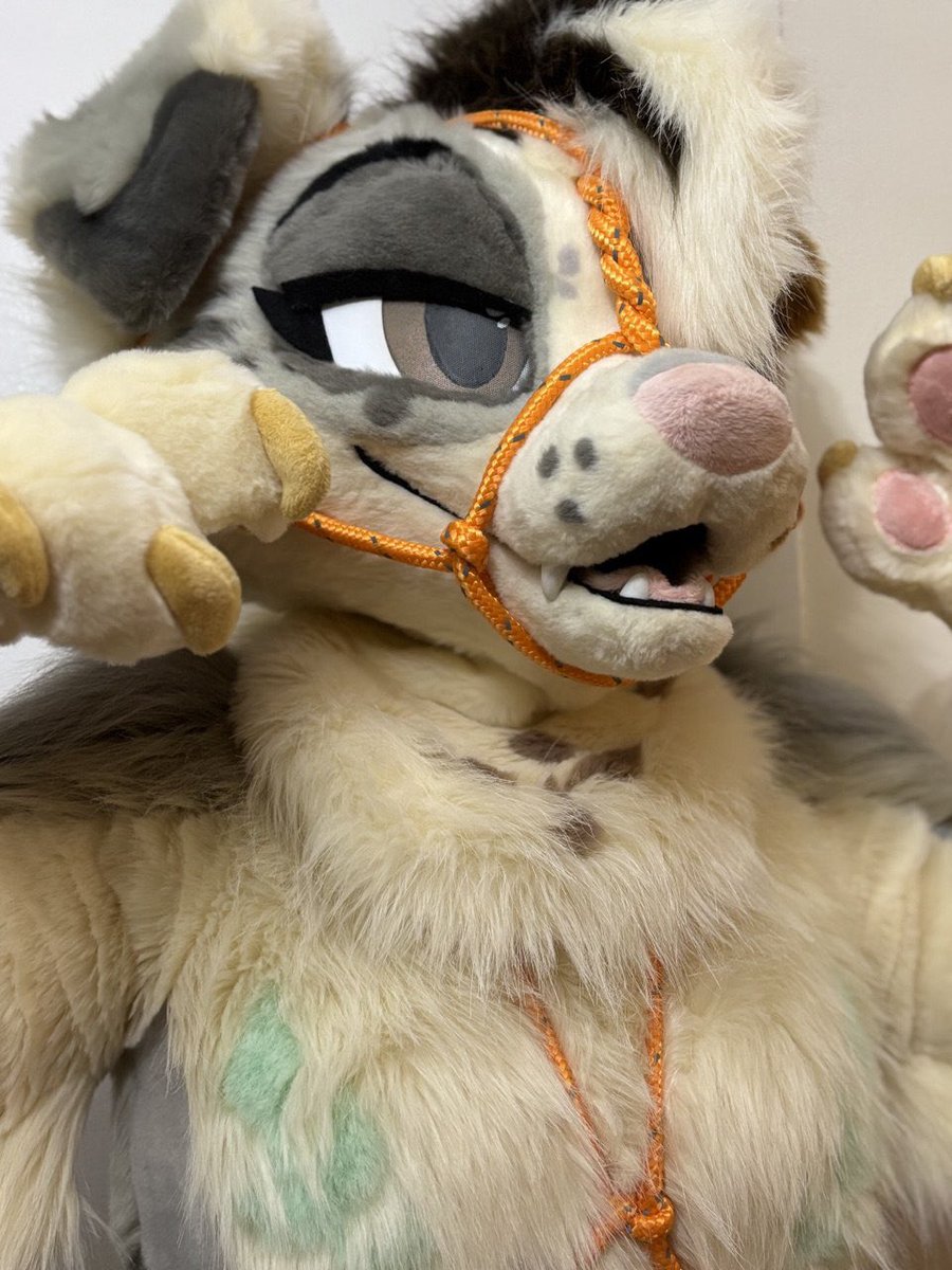 As much as I love being bound- I’m always on the hunt for a new pup to tie as well 😉

🐶: <a href="/JinxTheAussie/">The Midnight Howl</a> 
🪢: me 😘