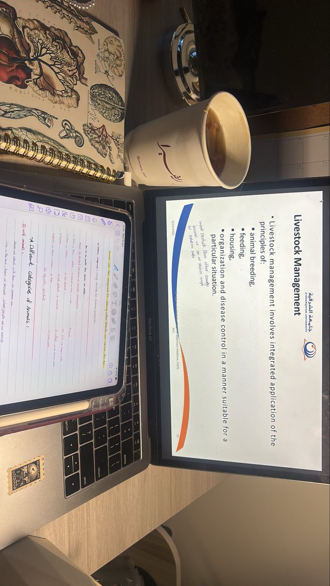 _wt73's tweet image. Weak4🧍‍♀️