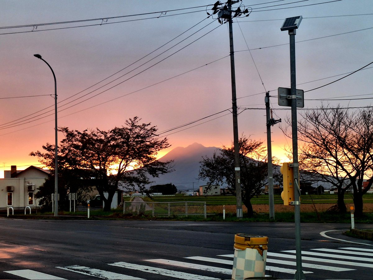 プルンはもう無いようだ。
秋真っ盛りの品揃え。
「もってのほか」が視界に入ったので寄ってきた。また、おまけ沢山してくれた。いつもありがとう。😊
#プルン調査隊2025