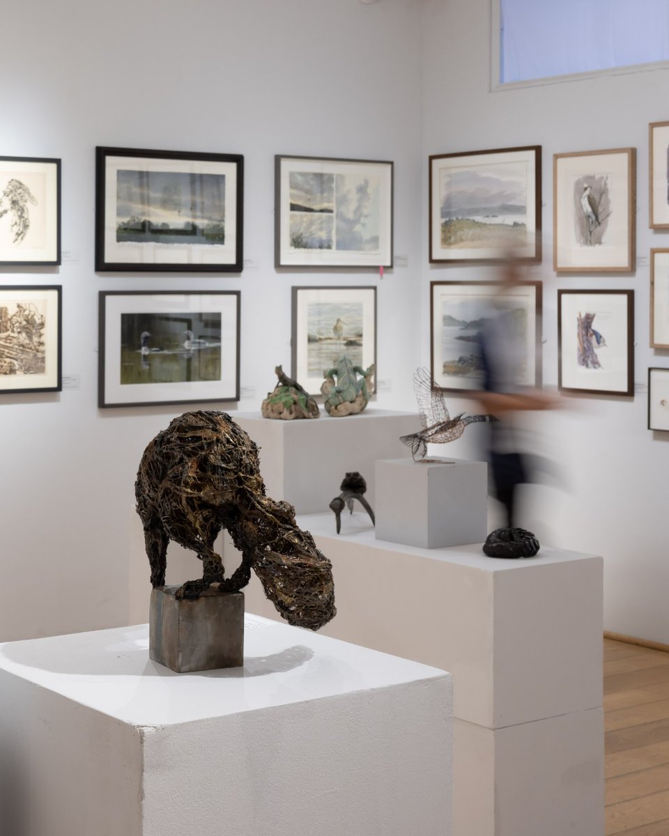 mallgalleries's tweet image. The SWLA Annual Exhibition 2025 is now open! 👏

Singer-songwriter David Gray opened the exhibition and was joined by the Society's president, Harriet Mead to announce the prize winners!

We would like to say congratulations to all the winners!

Exhibition open until 25 October