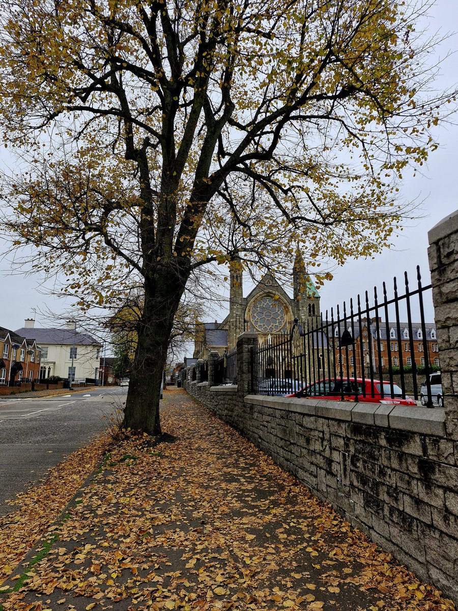 Micheál Ó Cinnéide tweet media