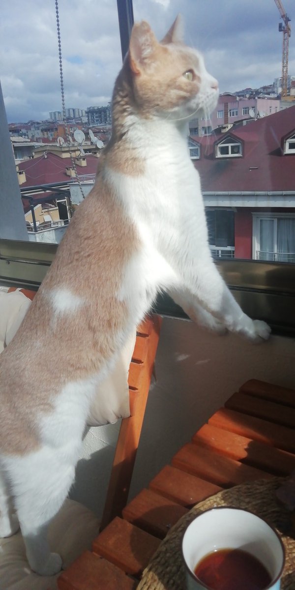 Zıpır sabah kontrolünde