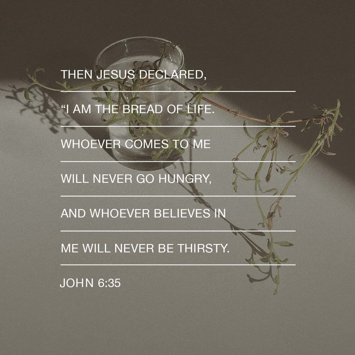 porter_Amanda14's tweet photo. #VOTD #verseoftheday #scripture #porterperspective https://t.co/1oaOYZmFLH