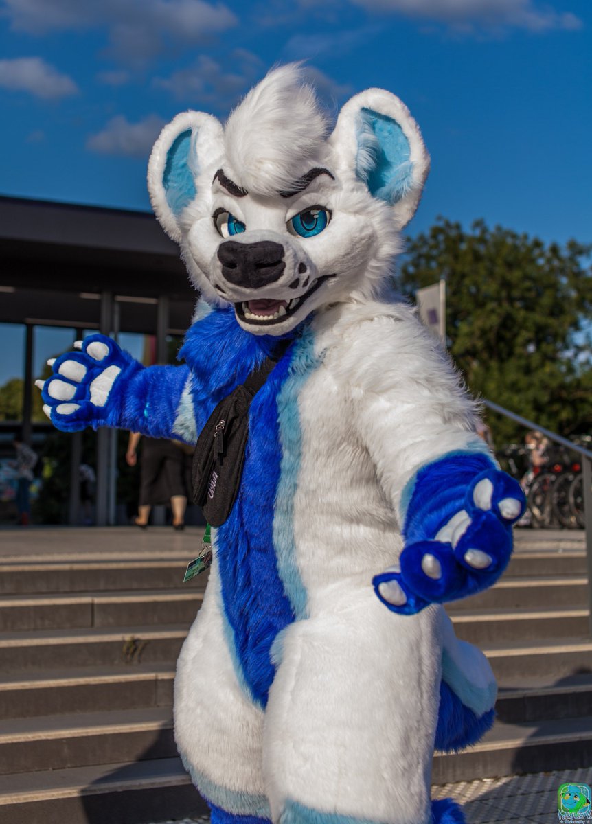 Djem - 🐺 - 🇪🇺 tweet media