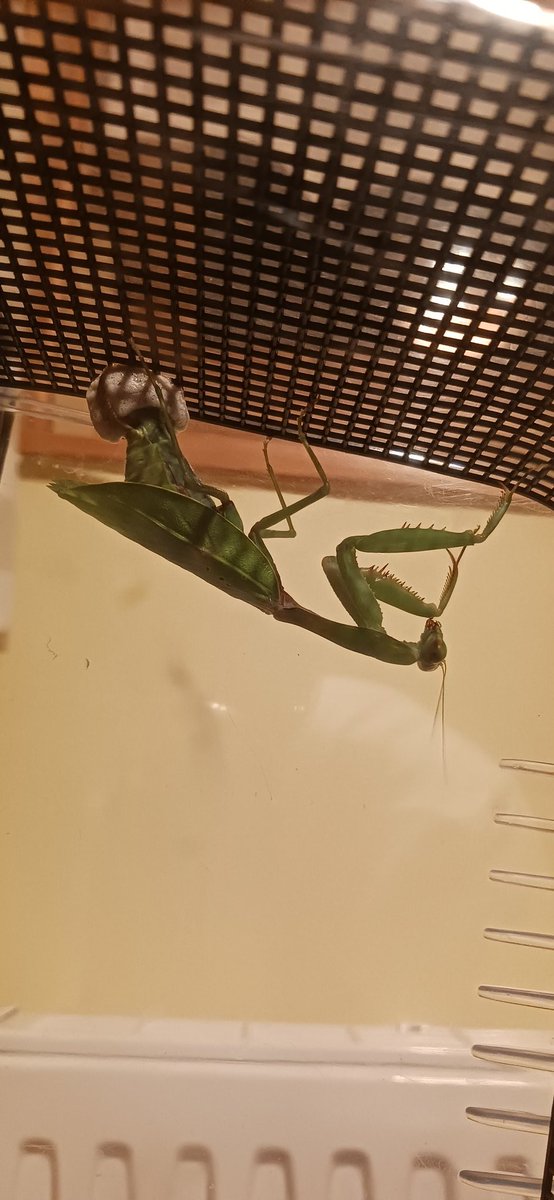 コーヘー (@k33384589) / Posts / X