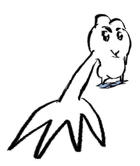 엽서정리하다가혼자울컥해짐