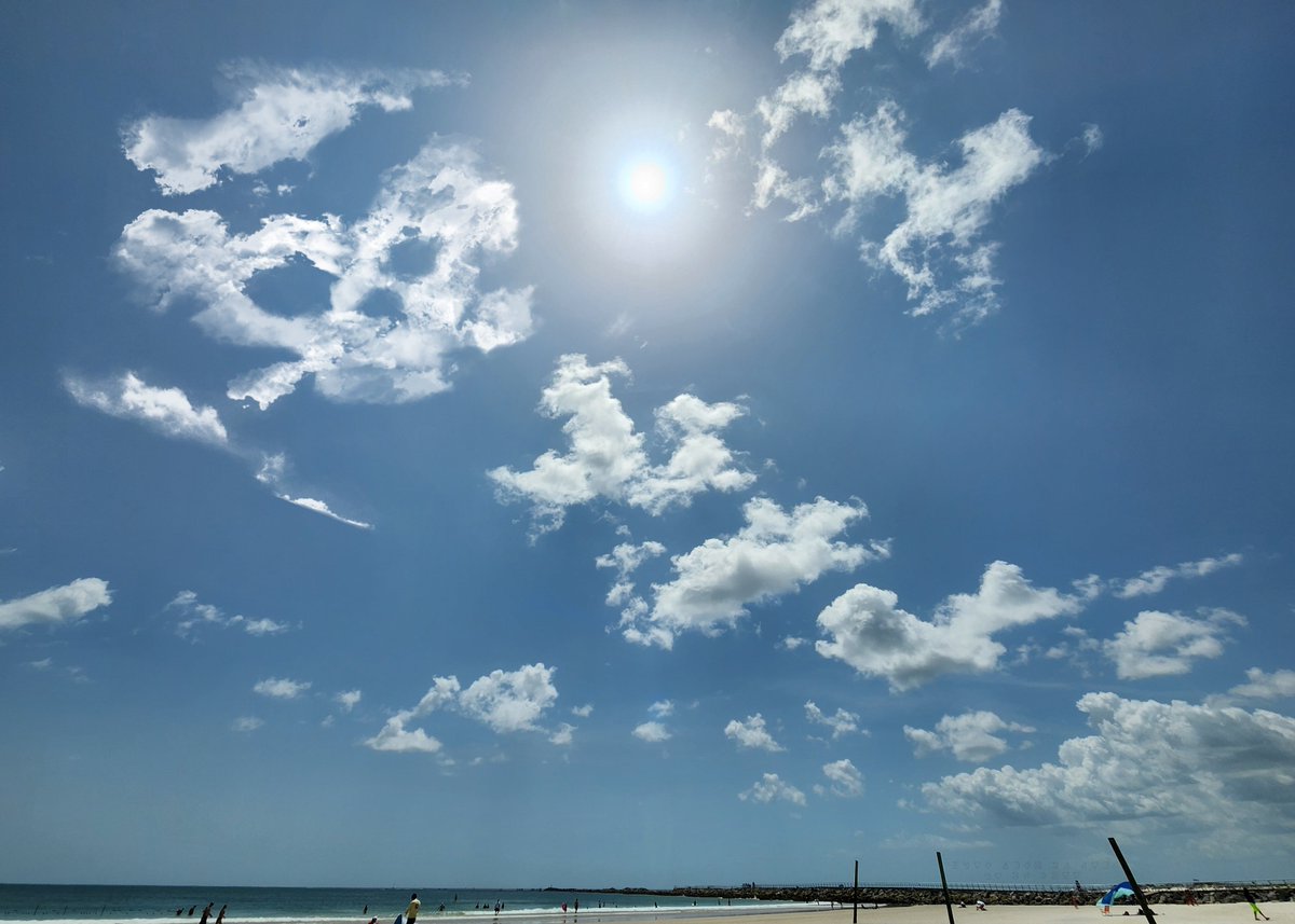 Florida Sea Watch tweet media