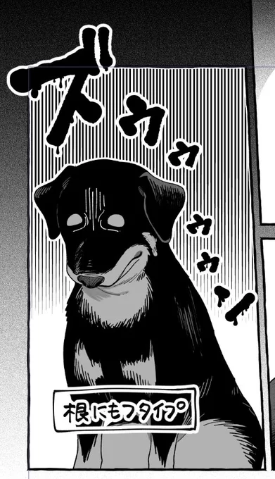 『正反対なわたしたち』52話
明日更新いたします🐶💬

今回は千遥メインのお話です! 