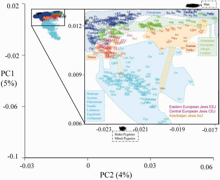 jakeg_official's tweet photo. HOW CAN YOU BE "ANTISEMITIC" IF THEY ARE NOT SEMITIC?! You've been lied to. 🕍✡️⬇️

Modern European Jews aka Ashkenazi, don’t trace their DNA to ancient Israel, but to a lost empire called Khazaria, a kingdom that once sat between Europe and Asia (map below). About 1000 years ago, the Khazars reportedly converted to Judaism, then migrated west across Europe as their empire collapsed.

Modern “Semitic” identity is built on a LIE.

When scientists mapped modern Jewish genetics, something strange appeared. Instead of clustering with Middle Eastern populations, European Jews genetically grouped closer to Caucasus peoples like Armenians and Georgians... regions that formed the northern border of ancient Khazaria. Those populations stayed isolated for centuries and there’s no record of them migrating into Poland or Germany. The shared DNA points to one origin: Khazaria.

Then came the Black Plague, wiping out half of Europe. After it ended, the surviving Jewish enclaves repopulated rapidly. Geneticists call this the Ashkenazi bottleneck, the moment their modern DNA signature formed.

Khazaria fell. Khazar Jews moved west. The Plague reset Europe. The survivors became the Ashkenazi.

This isn’t just history. It’s genetic evidence that flips everything we thought we knew about the origins of European Jewry.

Once you go deeper into the phenotype and migration maps, it's indisputable. This knowledge would wake the entire country up and no one knows about it.

Jews were roughly subdivided into Eastern (Belorussia, Latvia, Poland, and Romania) and Central (Germany, Netherlands, and Austria) European Jews. The literature considers “Ashkenazi Jews” distinct from “Sephardic Jews.”

All European Jews cluster distinctly from the Middle Eastern cluster. Strong evidence for the Khazarian hypothesis is the clustering of European Jews with the populations that reside on opposite ends of ancient Khazaria: Armenians, Georgians, and Azerbaijani Jews. Because Caucasus populations remained relatively isolated in the Caucasus region and because there are no records of Caucasus populations mass-migrating to Eastern and Central Europe prior to the fall of Khazaria (Balanovsky et al. 2011), these findings imply a shared origin for European Jews and Caucasus populations.

Yiddish, the language of Central and Eastern European Jews, began as a Slavic language that was relexified to High German at an early date (Wexler 1993). Our findings are also in agreement with archeological, historical, linguistic, and anthropological studies (Polak 1951; Patai and Patai 1975; Wexler 1993; Brook 2006; Kopelman et al. 2009; Sand 2009) and reconcile contradicting genetic findings observed in uniparental and biparental genome data. The conclusions of the latest genome-wide studies (Atzmon et al. 2010; Behar et al. 2010) that European Jews had a single Middle Eastern origin are incomplete as neither study tested the Khazarian hypothesis, to the extent done here. Finally, our findings confirm both oral narratives and the canonical Jewish literature describing the Khazars’ conversion to Judaism (e.g., “Sefer ha-Kabbalah” by Abraham ben Daud [1161 CE], and “The Khazars” by Rabbi Jehudah Halevi [1140 CE]) (Polak 1951; Koestler 1976).

In conclusion, Palestinians have far deeper ancestral ties to Gaza and the surrounding Levant than European Jews do to the region. Genetic studies show Palestinians descend largely from the same native populations that lived there for thousands of years, with continuous lineage going back to ancient Canaanites and other Levantine peoples. Jesus was born in Bethlehem and lived his life entirely within ancient Judea and Galilee, making him ethnically Middle Eastern... not Ashkenazi.

See for yourself:
The Missing Link of Jewish European Ancestry: Contrasting the Rhineland and the Khazarian Hypotheses
https://t.co/9JTVeuBQIq