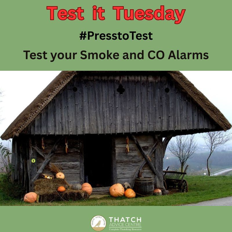 ThatchAdvice's tweet image. #TestitTuesday
Pumpkins, candles, spooky outfits are all fun in the run up to #Halloween
Make sure you Test your Smoke and CO Alarms just in case the worst happens.
#PresstoTest