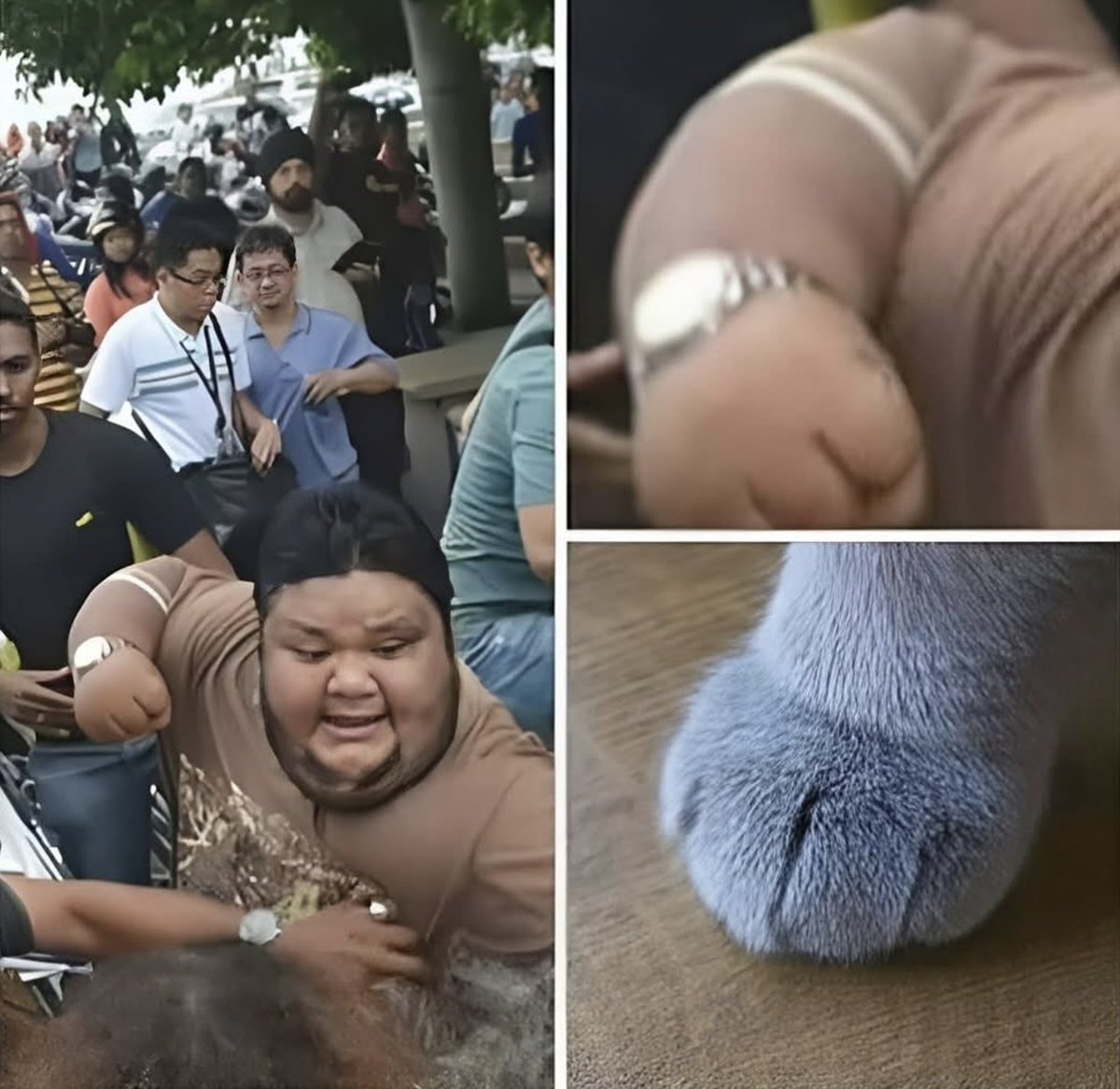 NO CONTEXT HUMANS (@humansnocontext) on Twitter photo 
