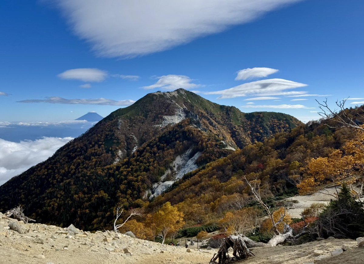houougoya's tweet image. 【落ち葉によるドンドコ沢の道迷いにご注意】
ここ数日の雨で落ち葉が大量に出て、登山道が不明瞭になり、道迷いしやすくなっています。

ドンドコ沢を通行される方は、
・登山アプリを利用し、現在地を確認する
・行動時間に余裕を持つ
などの事前準備をお願いいたします。

（撮影…村野萌実10/10）