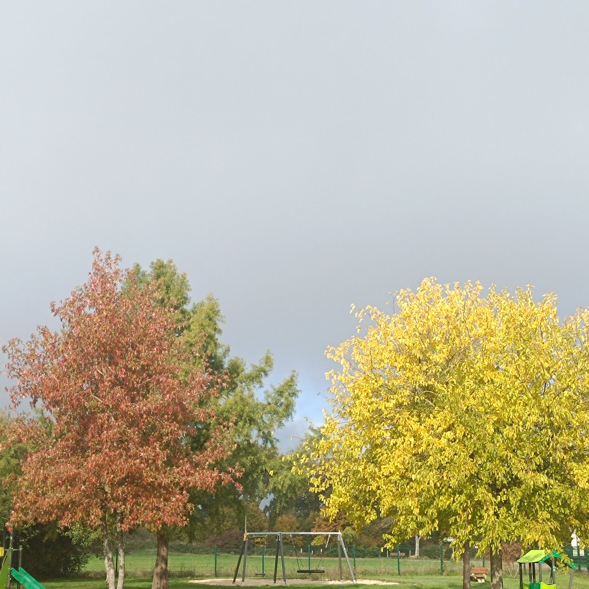 C'est tout beau en ce moment ❤️