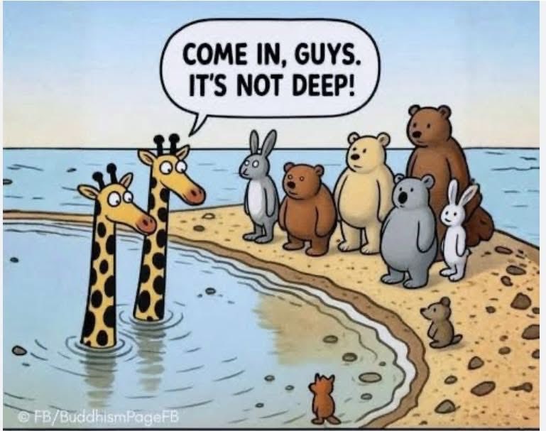 You should always be aware of your own privilege before judging other’s courage, effort, or success…