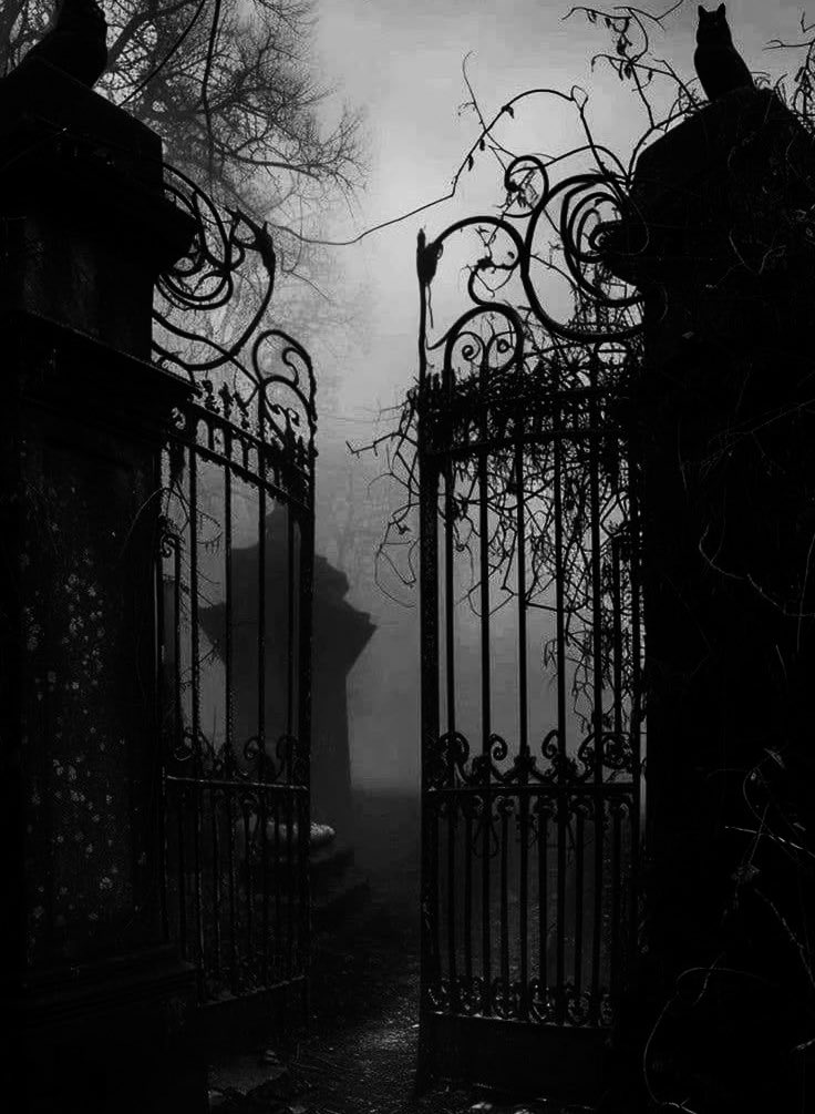 diablezone's tweet image. 