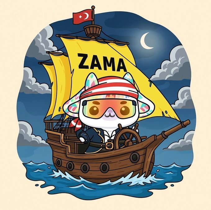 With privacy becoming less and less common <a href="/zama_fhe/">Zama</a>  is using Fully Homomorphic Encryption (FHE) technology that enables information to be processed *without ever being decrypted.

Zama’s core resources that allow developers to create encrypted smart contracts and private on