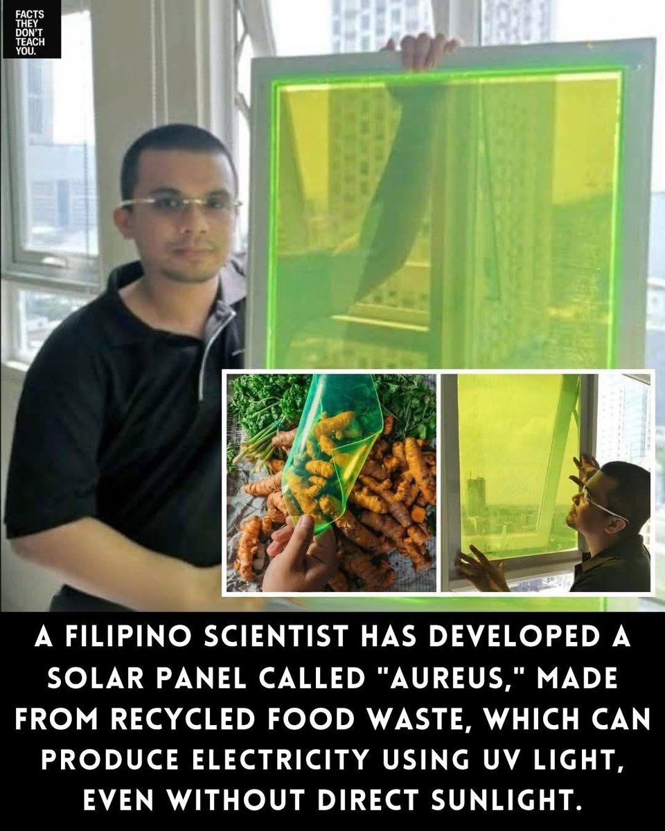 When the sun hides behind clouds, most solar panels stop working. But one Filipino student saw light where others saw shadows.  Carvey Ehren Maigue, an engineering student from Mapúa University, invented a new kind of solar technology called AuREUS — made from upcycled fruit and