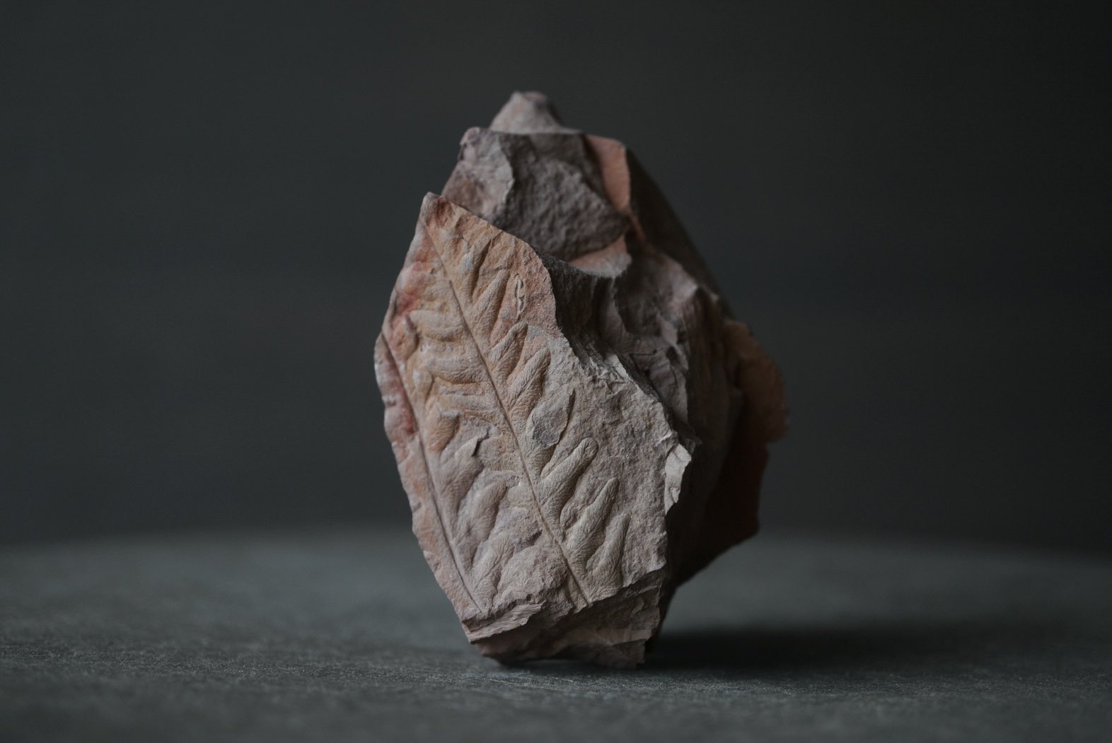 叙景 jokei 鉱物 / 風景石 / 化石 /水石 on X: 